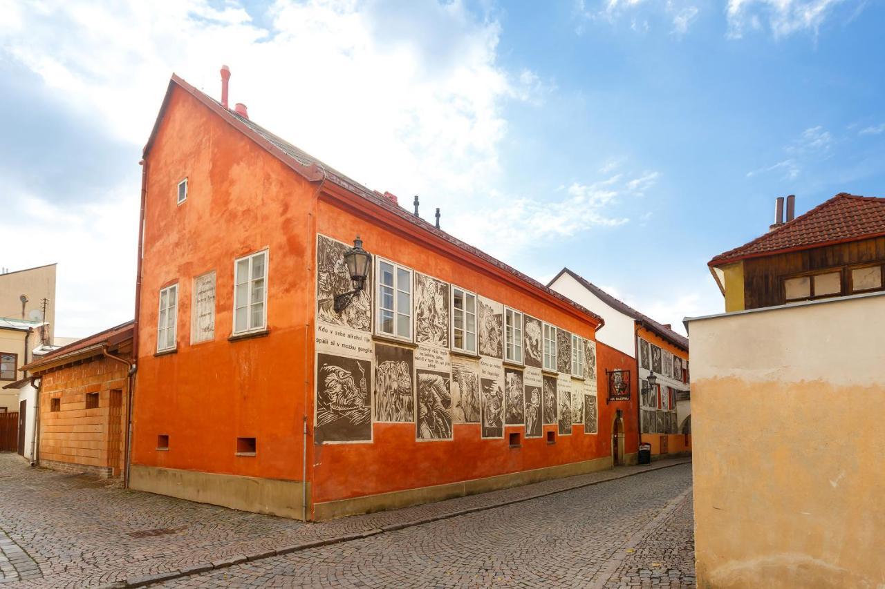 Pension Paseka Litomysl Exterior photo
