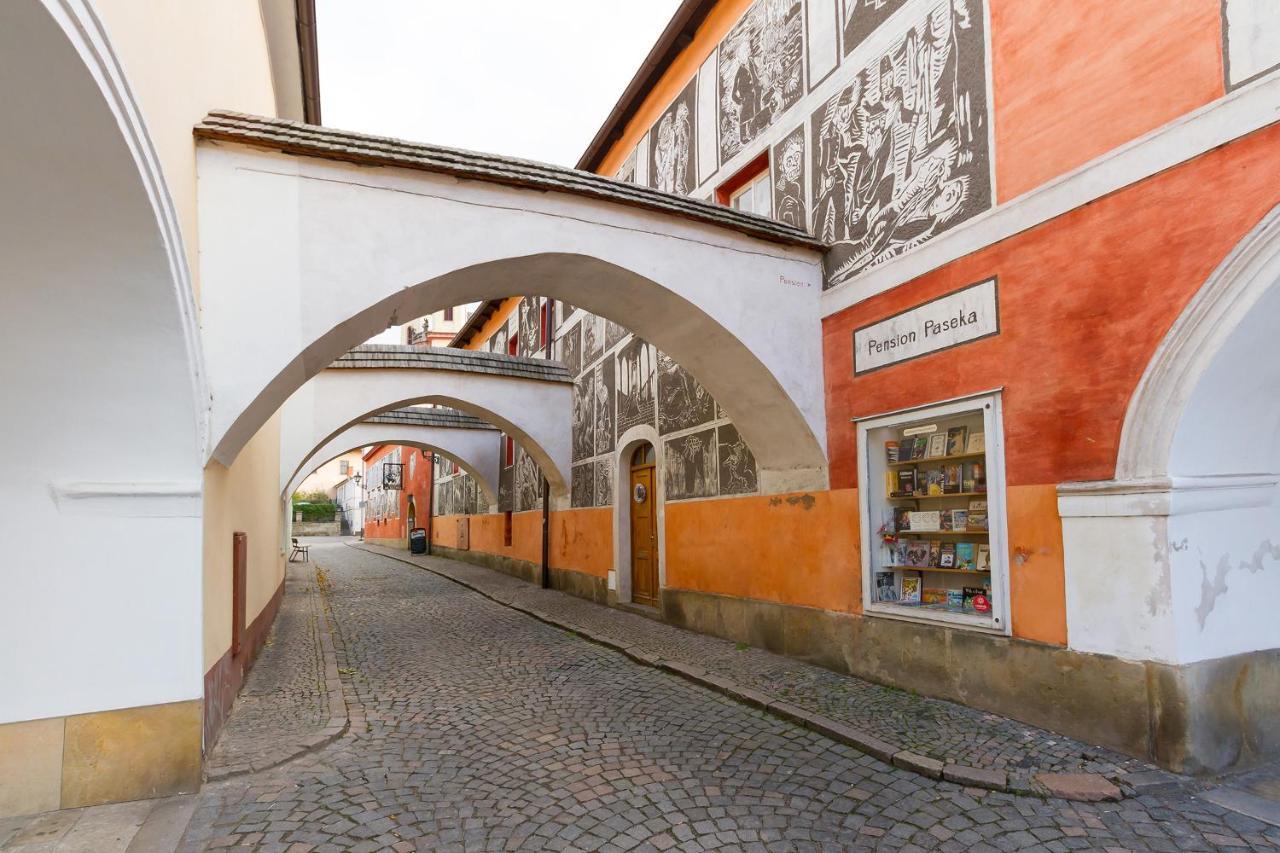 Pension Paseka Litomysl Exterior photo